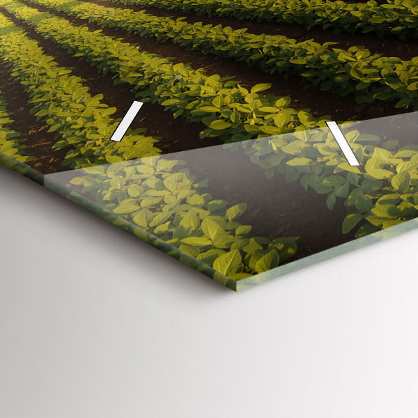 Reloj de cristal horizontal Tractor fumigando un campo