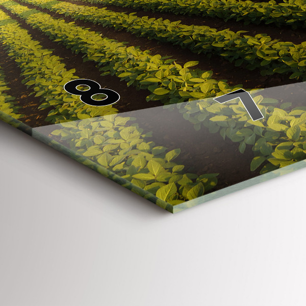 Reloj de cristal horizontal Tractor fumigando un campo