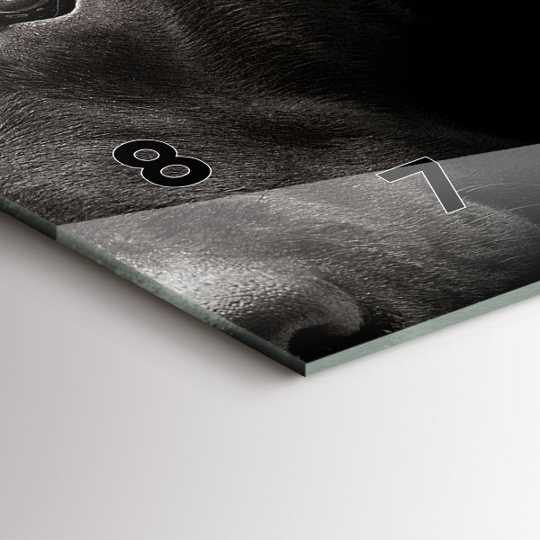 Reloj horizontal Perro y gato escocés