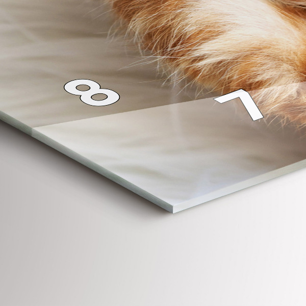 Reloj horizontal Gatito durmiendo