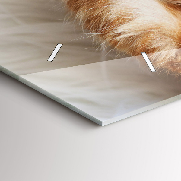 Reloj horizontal Gatito durmiendo