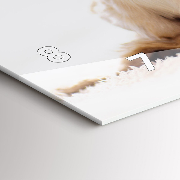 Reloj de cristal horizontal Gato y perro durmiendo