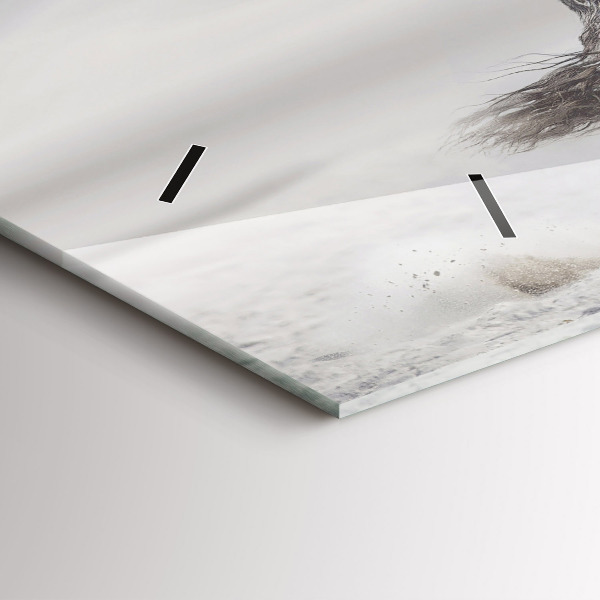 Reloj de cristal horizontal Caballo blanco al galope