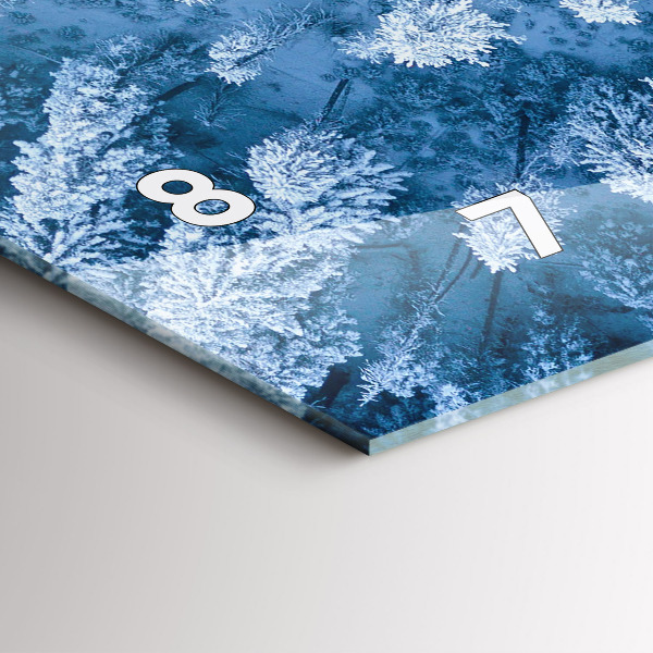 Reloj de cristal horizontal Bosque a vista de pájaro Drone