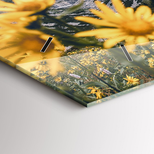 Reloj horizontal Pradera de flores en las montañas