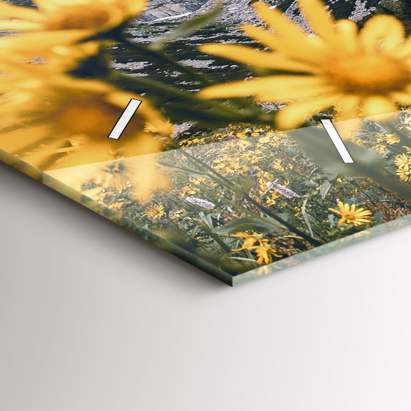 Reloj horizontal Pradera de flores en las montañas