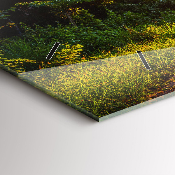 Reloj horizontal Parque Surat Thani Tailandia