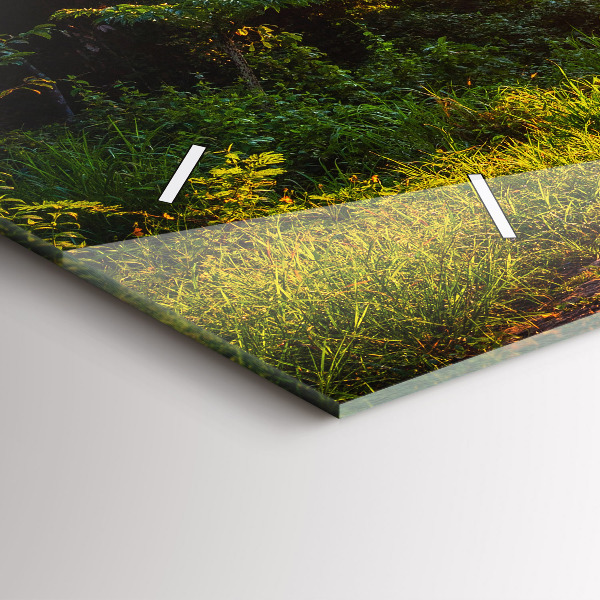 Reloj horizontal Parque Surat Thani Tailandia