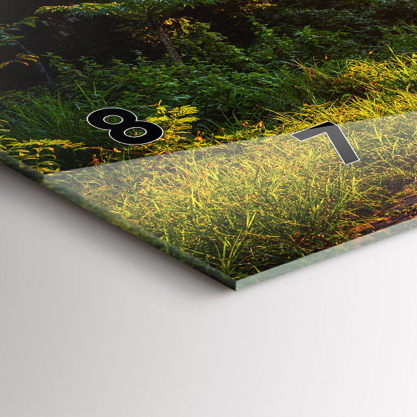 Reloj horizontal Parque Surat Thani Tailandia