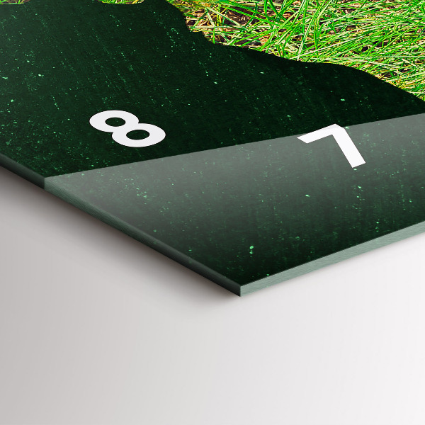 Reloj de cristal horizontal Mapamundi de hierba