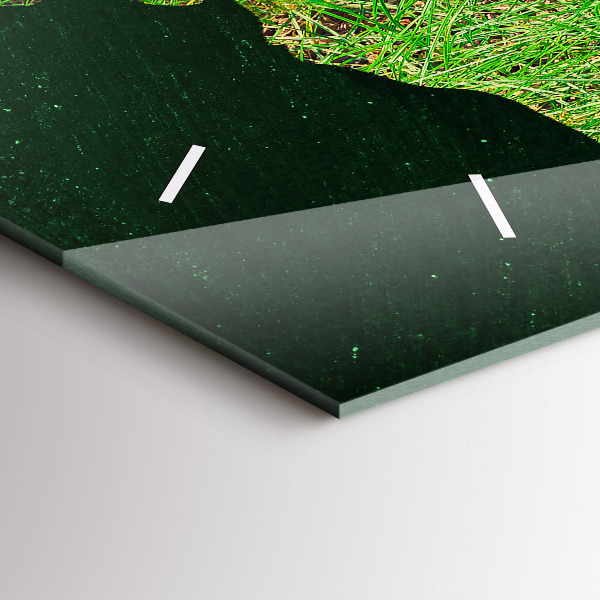 Reloj de cristal horizontal Mapamundi de hierba