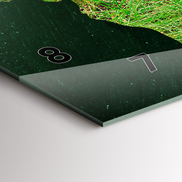 Reloj de cristal horizontal Mapamundi de hierba