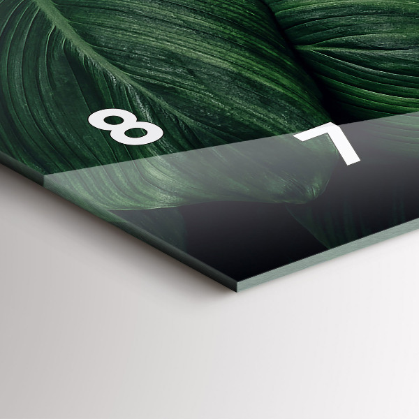 Reloj horizontal Monstera tropical