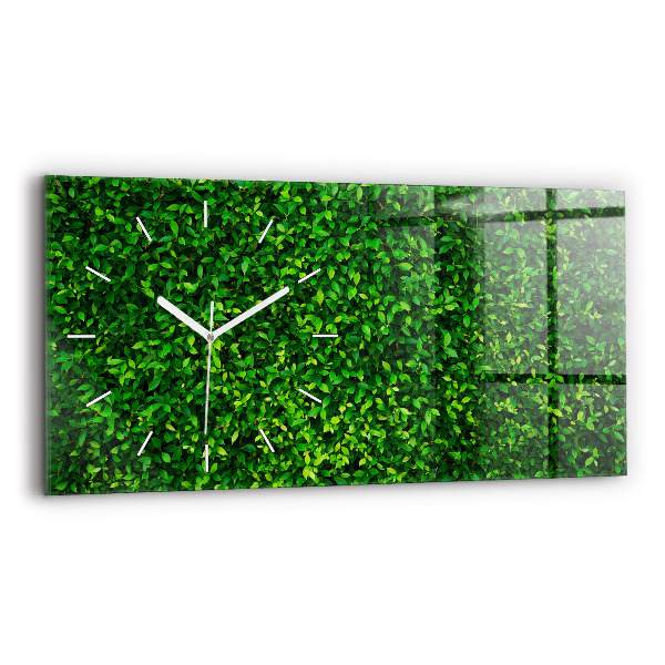 Reloj horizontal Hojas de seto