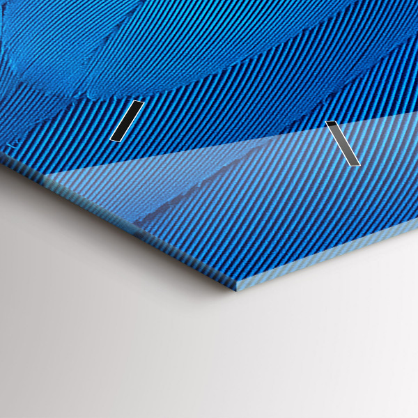 Reloj de cristal horizontal Pluma de ave