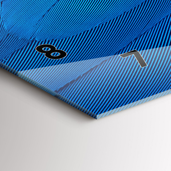 Reloj de cristal horizontal Pluma de ave