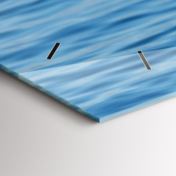 Reloj horizontal Gaviotas en Gdynia