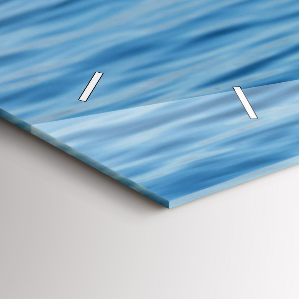 Reloj horizontal Gaviotas en Gdynia