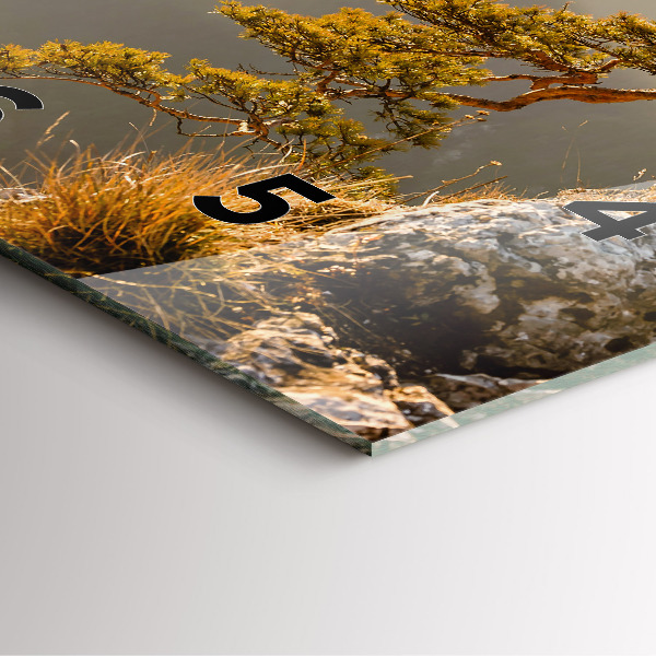 Reloj de pared cuadrado Árbol en la montaña