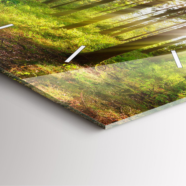 Reloj cuadrado Amanecer en el bosque