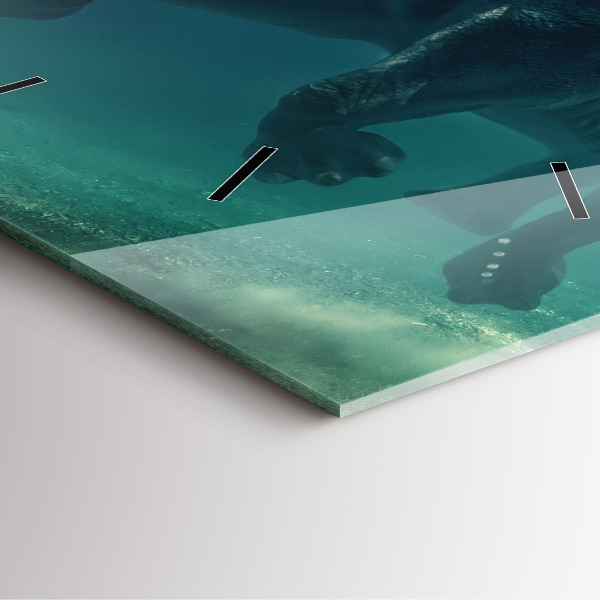 Reloj cuadrado Elefante flotante en el océano