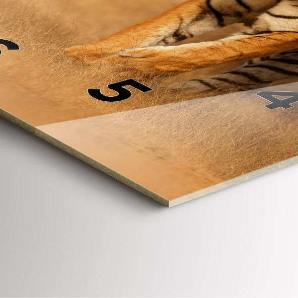 Reloj cuadrado Tigre de caza