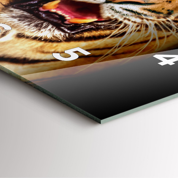 Reloj cuadrado Tigre - ojo salvaje