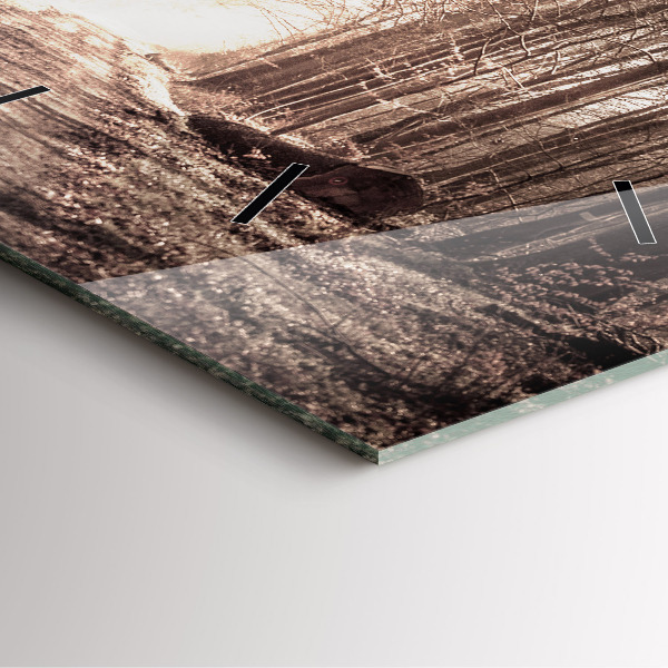 Reloj cuadrado Camino forestal en sepia