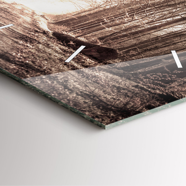 Reloj cuadrado Camino forestal en sepia