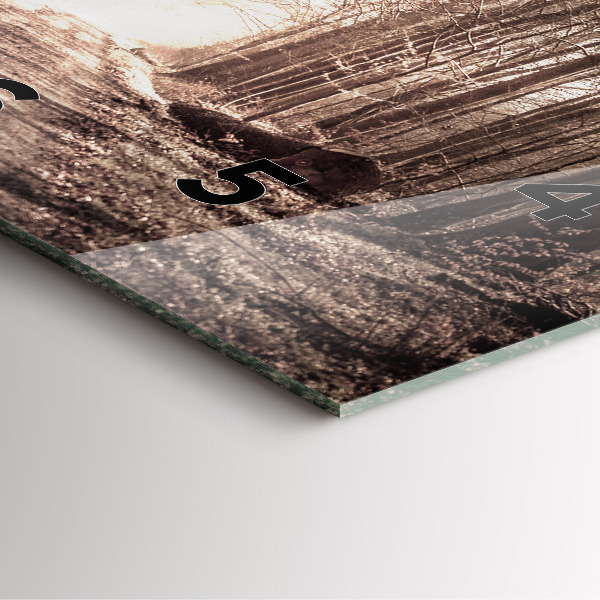 Reloj cuadrado Camino forestal en sepia