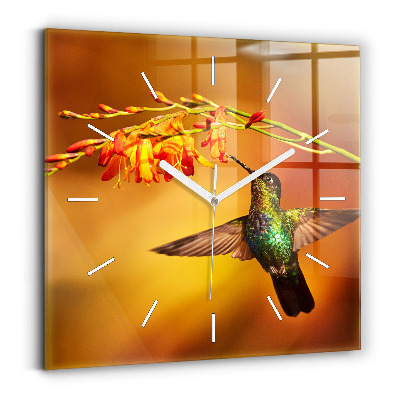 Reloj de pared cuadrado Pájaro colibrí