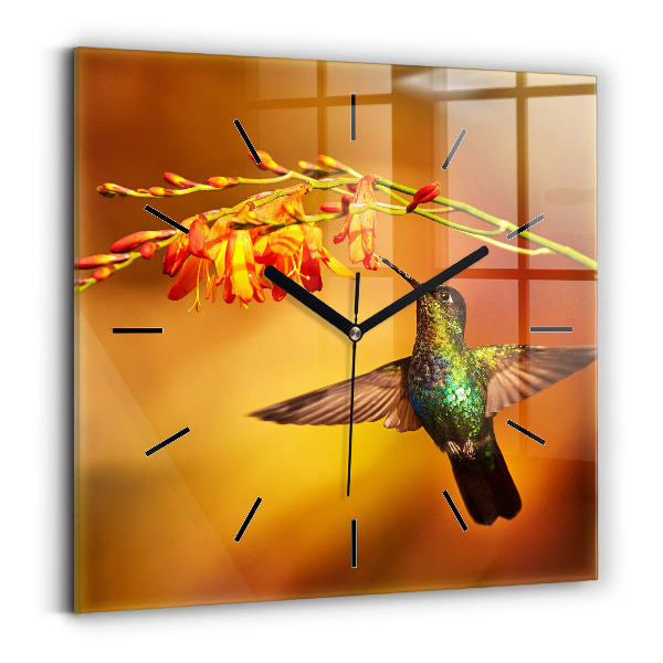 Reloj de pared cuadrado Pájaro colibrí