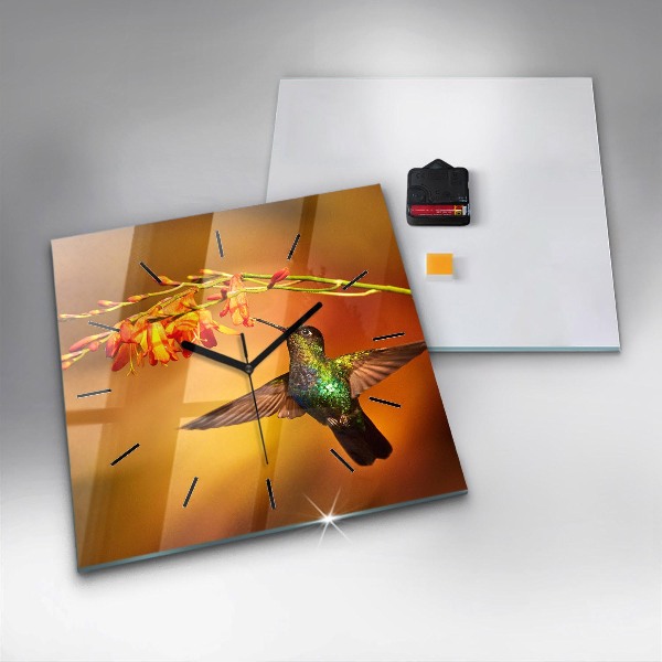 Reloj de pared cuadrado Pájaro colibrí