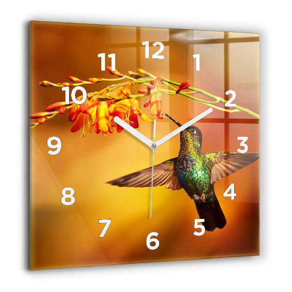 Reloj de pared cuadrado Pájaro colibrí