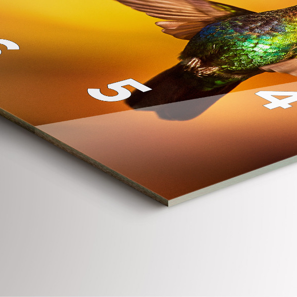 Reloj de pared cuadrado Pájaro colibrí