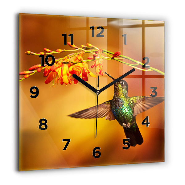 Reloj de pared cuadrado Pájaro colibrí
