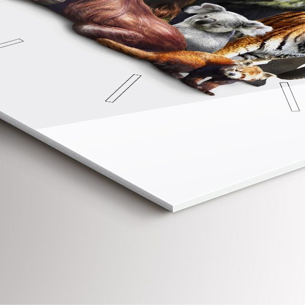 Reloj de pared cuadrado Animales salvajes