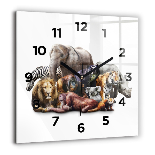 Reloj de pared cuadrado Animales salvajes
