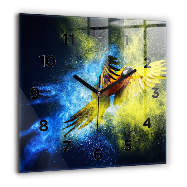 Reloj cuadrado Loro de colores