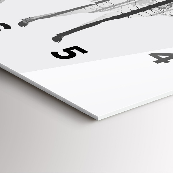 Reloj de pared cuadrado Silueta de un ciervo Bosque