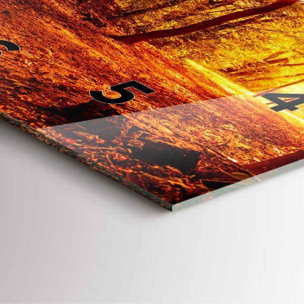 Reloj de pared cuadrado Paisaje forestal al sol