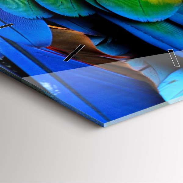 Reloj de pared cuadrado Pájaro Ara Alas de colores