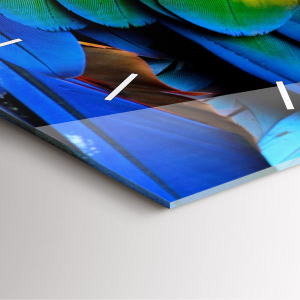 Reloj de pared cuadrado Pájaro Ara Alas de colores