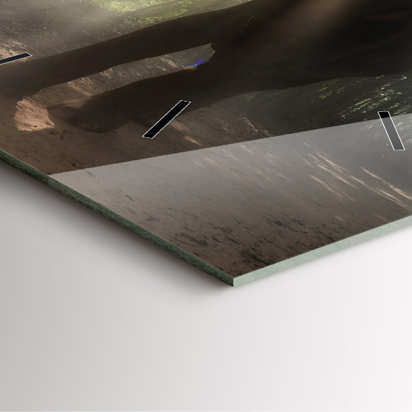 Reloj de pared cuadrado Elefante en la jungla