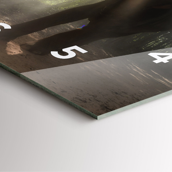 Reloj de pared cuadrado Elefante en la jungla