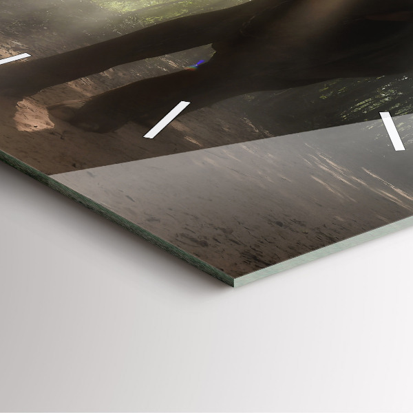 Reloj de pared cuadrado Elefante en la jungla