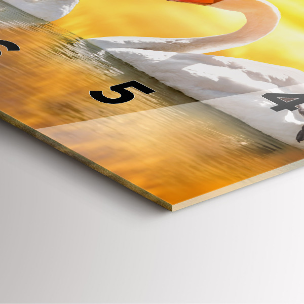 Reloj de pared cuadrado Cisnes enamorados