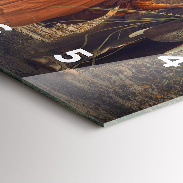 Reloj cuadrado Monje guiando elefantes