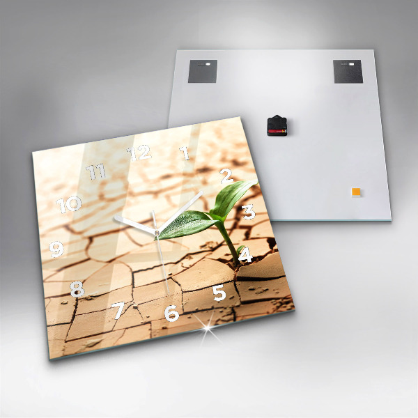 Reloj cuadrado Planta en tierra seca