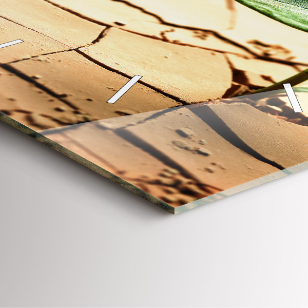 Reloj cuadrado Planta en tierra seca